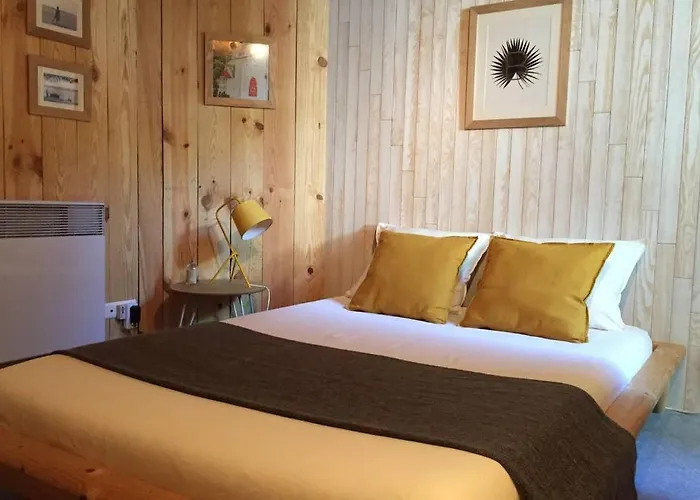 Appartement Charme Assure Pour Ce Idealement Situe *